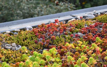 the cost of Rowanburn green roof installation